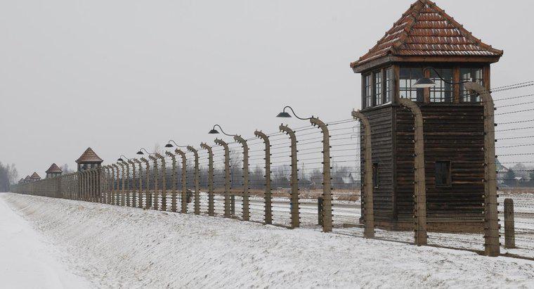Jakie są niektóre wydarzenia, które doprowadziły do ​​Holokaustu?
