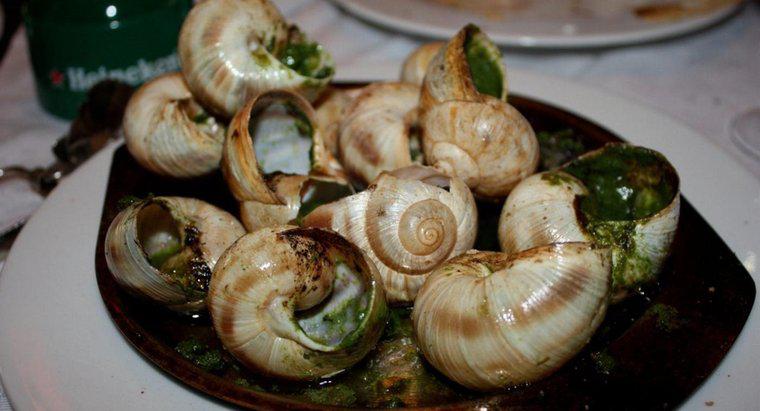 Dlaczego Francuzi jedzą ślimaki?