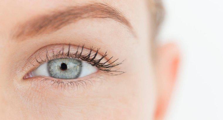 Jak nazywa się biała część oka?