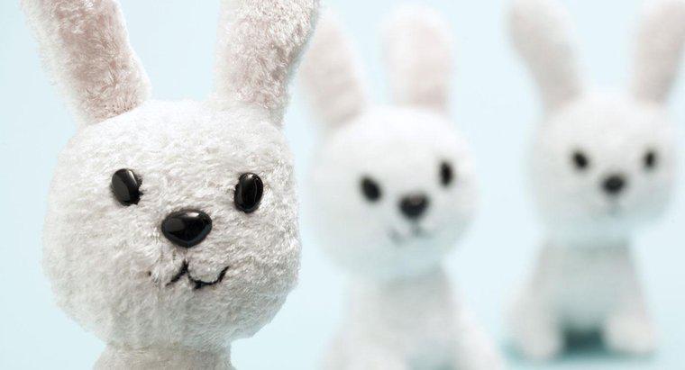 Jaka jest historia Easter Bunny?