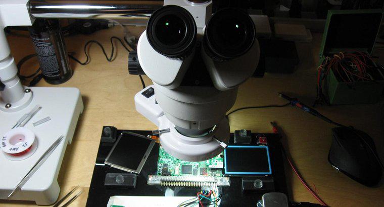 Jakie są elementy i funkcje mikroskopu binokularnego?