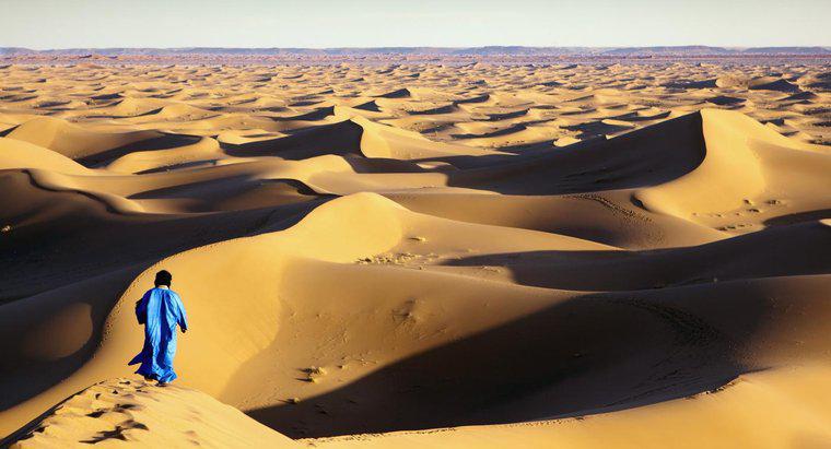Jakie są zawody żyjących na Saharze?