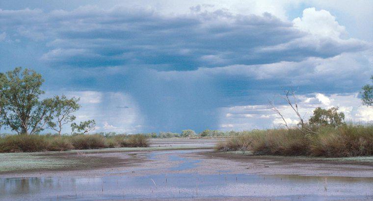 Jaka jest średnia ilość opadów na mokradłach?