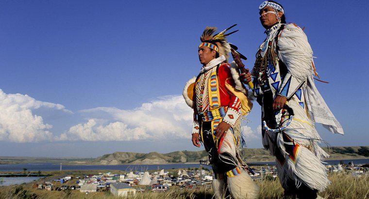 Jaki był wpływ ekspansji Zachodu na rdzennych Amerykanów?