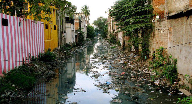 Jakie są przyczyny degradacji środowiska w Indiach?
