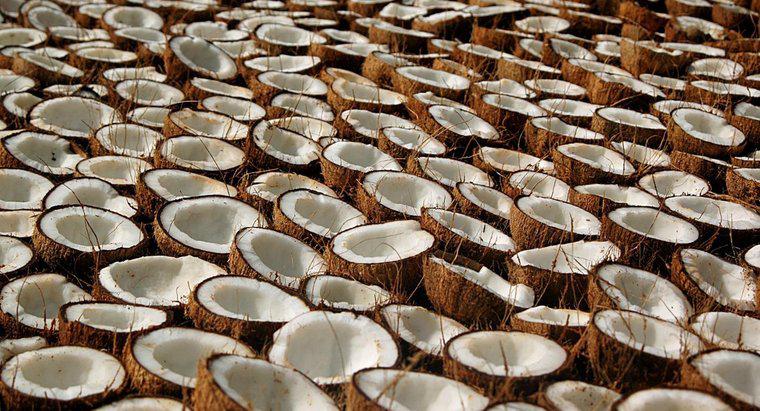 Jakie są korzyści zdrowotne i zastosowania oleju kokosowego?