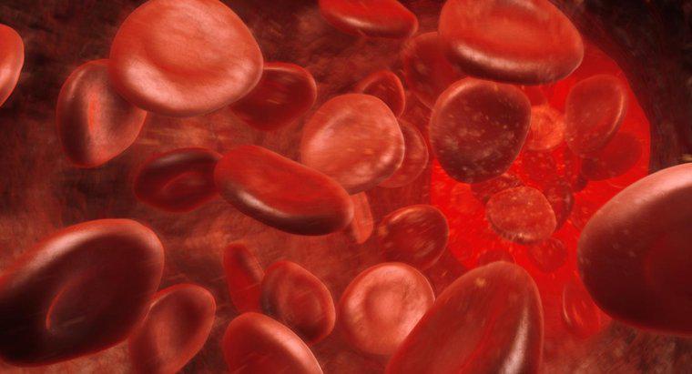 Co oznacza podwyższony poziom hemoglobiny?
