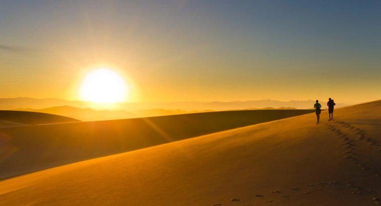 Przetrwanie 101: Jak ludzie żyją na pustyni?
