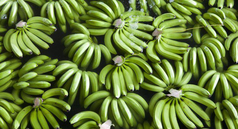 Jak dojrzewają banany na noc?