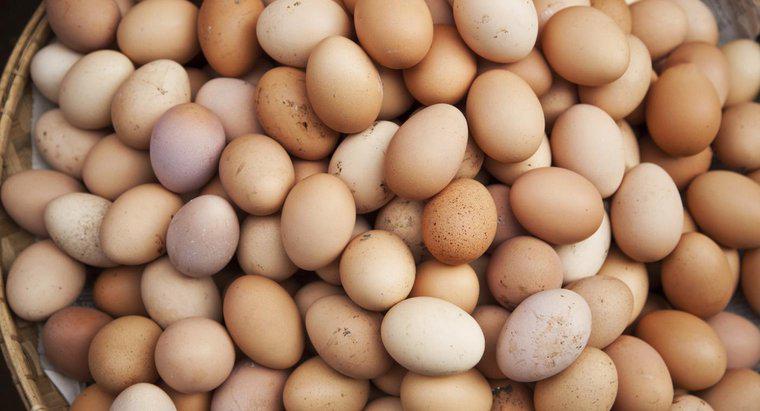 Czy jajka są uważane za nabiał lub drób?