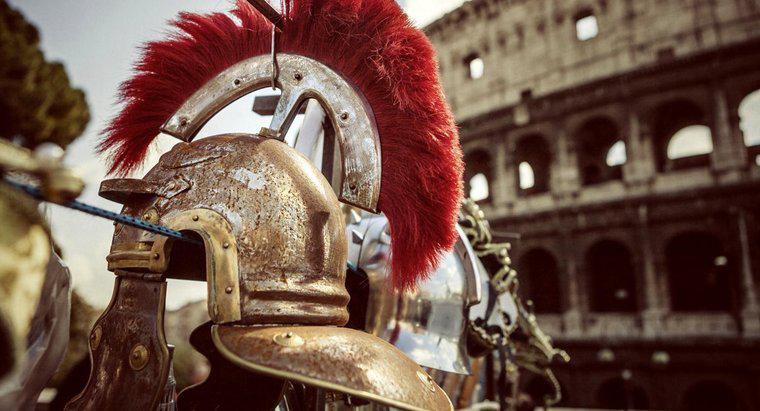 Jakie zwierzęta walczyły z gladiatorami?