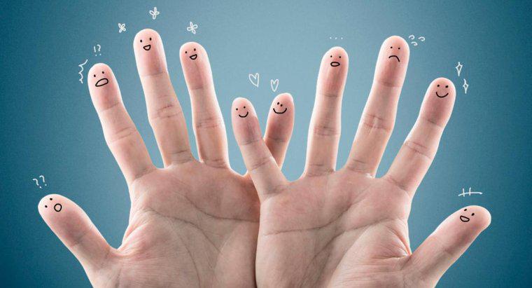 Dlaczego palce są bardzo wrażliwe na dotyk?