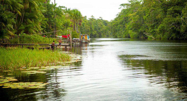 Jak są rzeki Amazonki, Nilu i Missisipi?