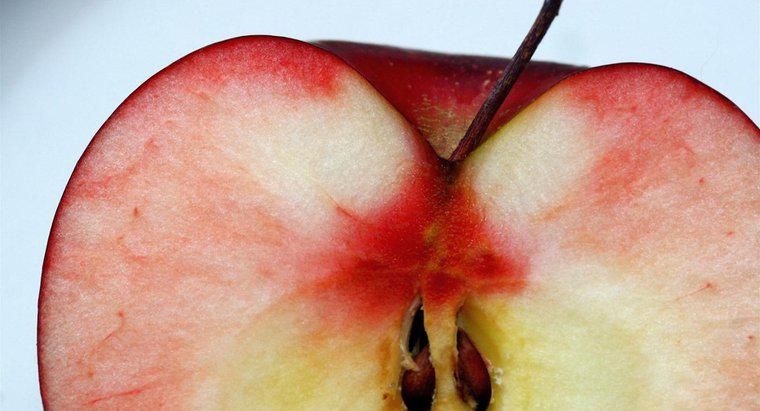W jaki sposób rozprowadza się nasiona jabłek?
