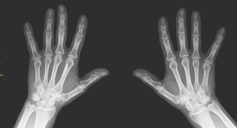 Jakie są wołane kości palec i palec?