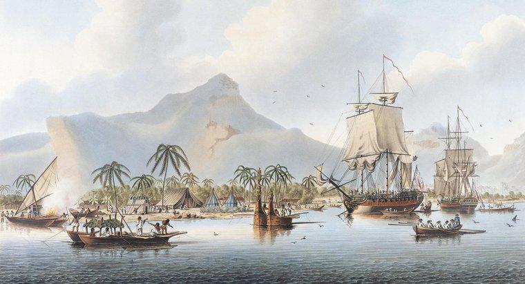 Które kraje czy kapitan James Cook odkrył?