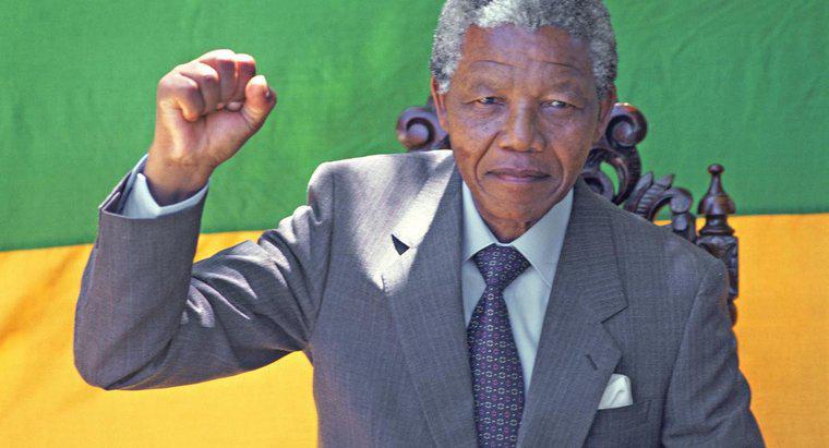 Co osiągnął Nelson Mandela?