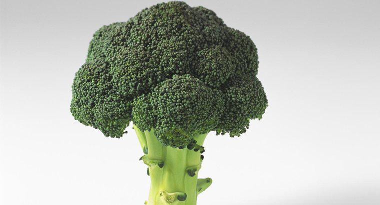 Co Broccoli robią dla twojego ciała?