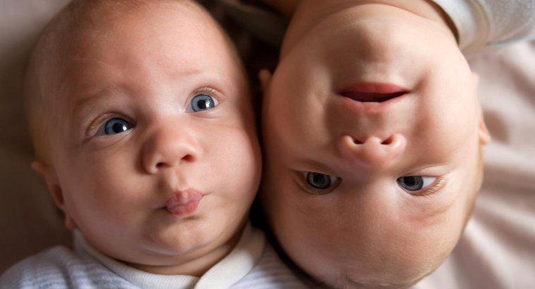 Czy bliźnięta mogą urodzić się latami?