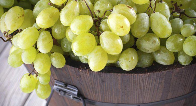 Jaka jest wartość odżywcza zielonych winogron?