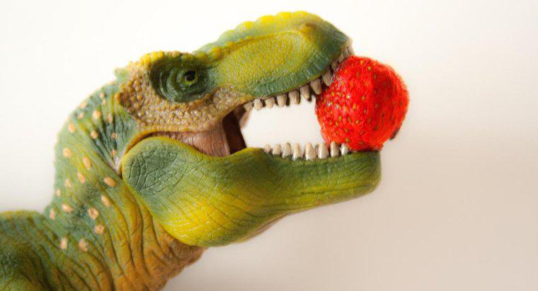 Co dinozaury zjadają?