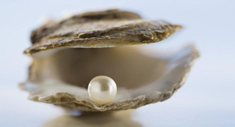 Czym jest symbolika perły?