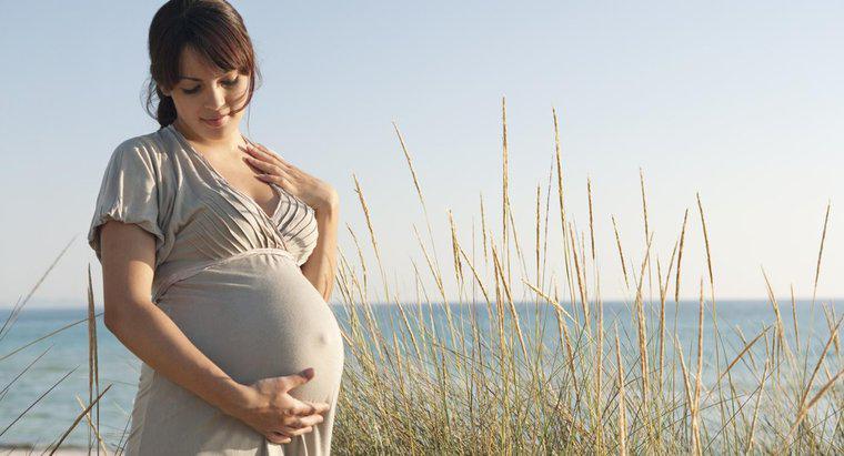 Jakie są niektóre objawy ciąży u ludzi?