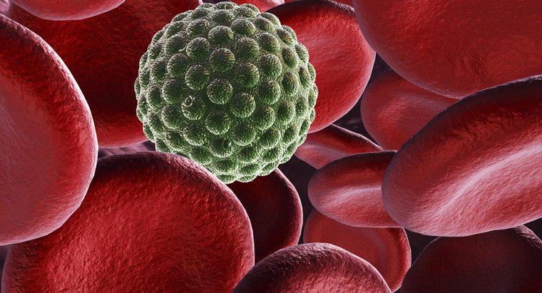 Co to jest niewykrywalny wirus HIV?