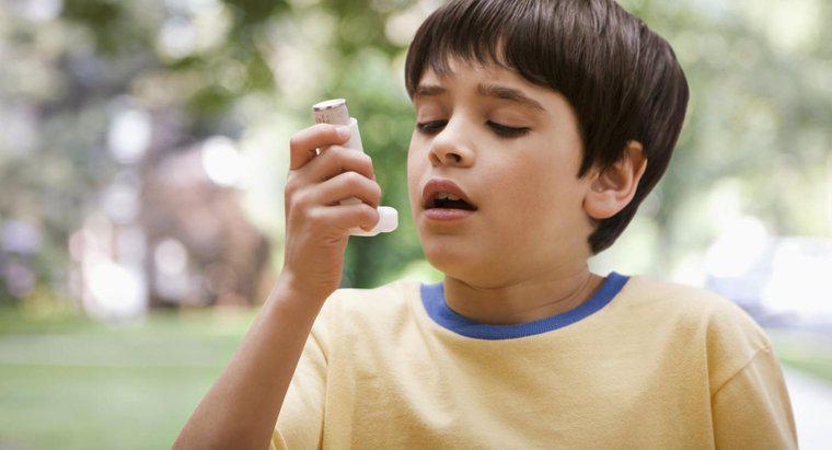 W jaki sposób astma wpływa na układ oddechowy?