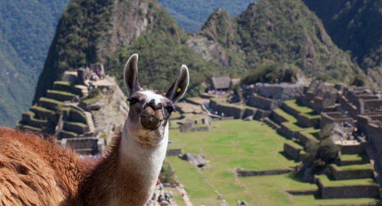 Gdzie znajdowało się Imperium Inków?