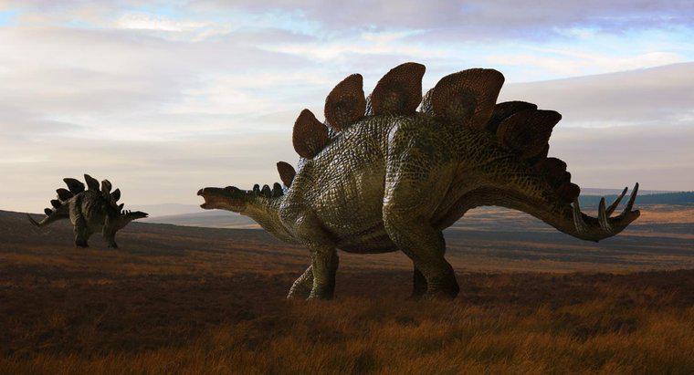 Kiedy dinozaury włóczą się po Ziemi?