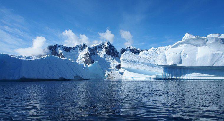 Jakie są fakty na temat Antarktydy?