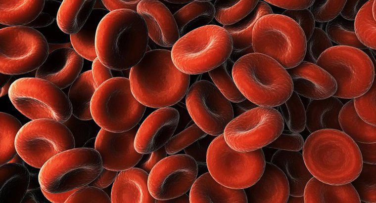 Co powoduje białko we krwi?