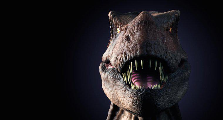 Jakie są fakty na temat T. Rexa dla dzieci?