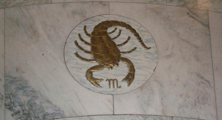 Jakie są fakty na temat znaku zodiaku Scorpio?