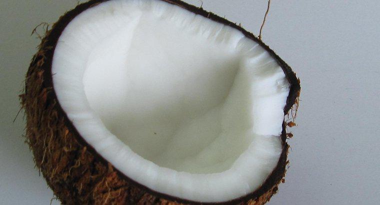 Czy Coconuts Have Seeds?