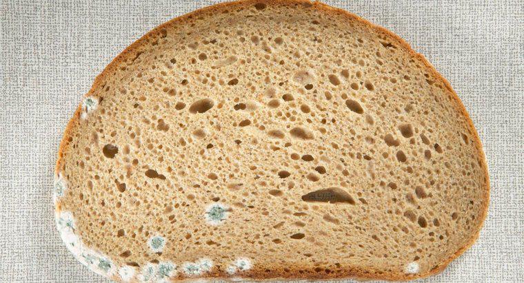Jakie są zagrożenia związane z jedzeniem spleśniałego chleba?