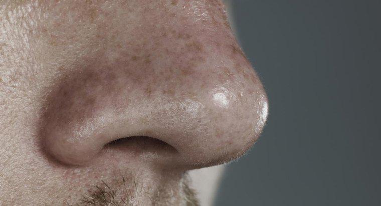 Co powoduje owrzodzenia w nosie?