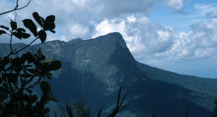 Jaka jest najwyższa góra w Brazylii?