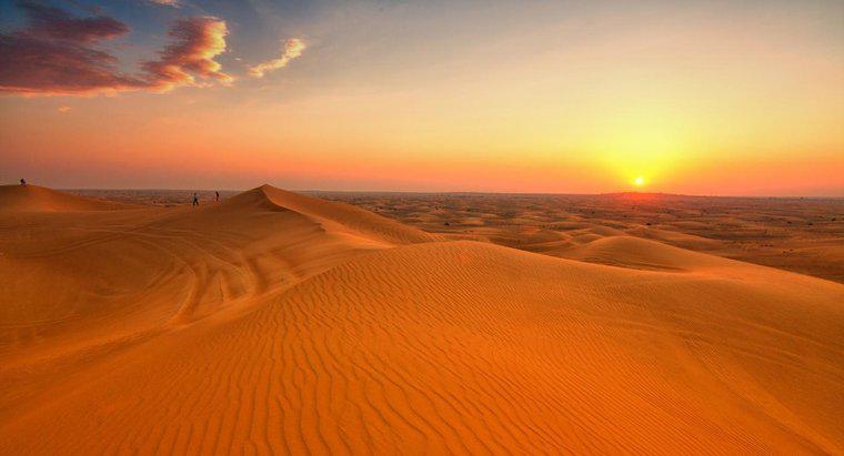 Jakie są czynniki biotyczne i abiotyczne w pustyniach?