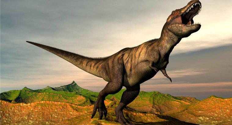 Jakie są fakty na temat Tyrannosaurus Rex?