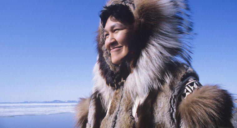 Jakie są fakty na temat Eskimosów?