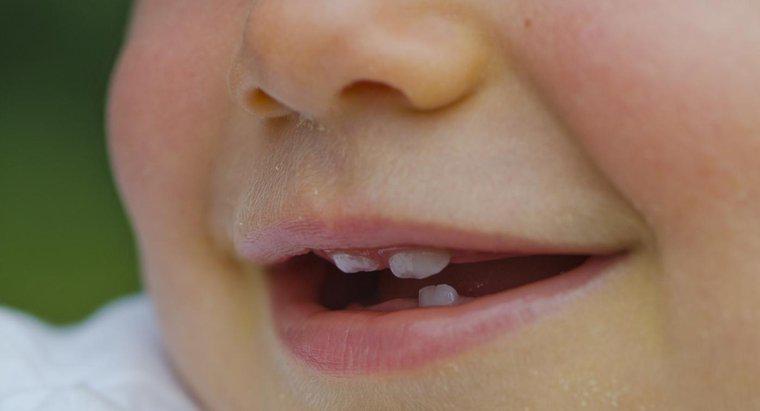 Co powoduje małe zęby?
