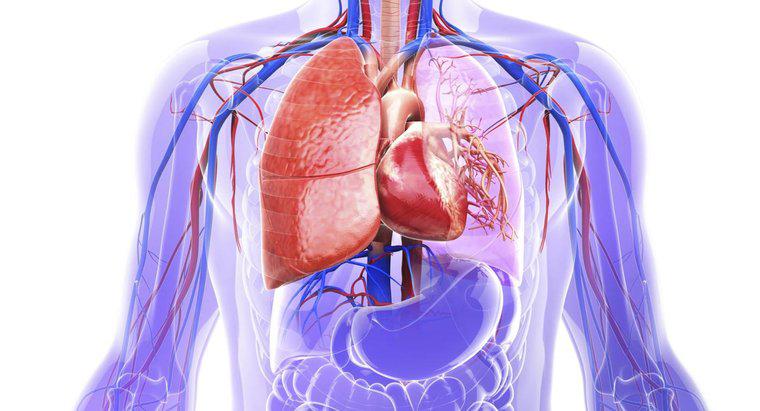 Co to jest tętniak aorty?