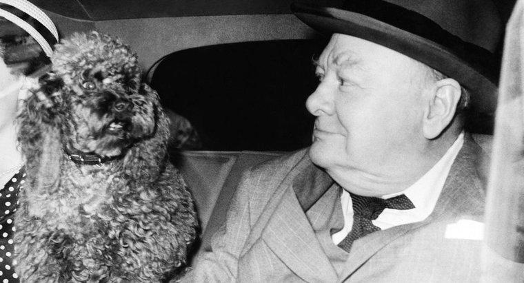 Kim był Winston Churchill i dlaczego był sławny?
