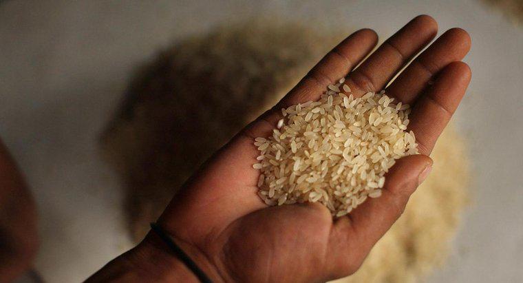 Ile waży jedno ziarno ryżu?