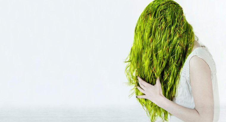 Jak pozbyć się zielonych włosów z chloru?