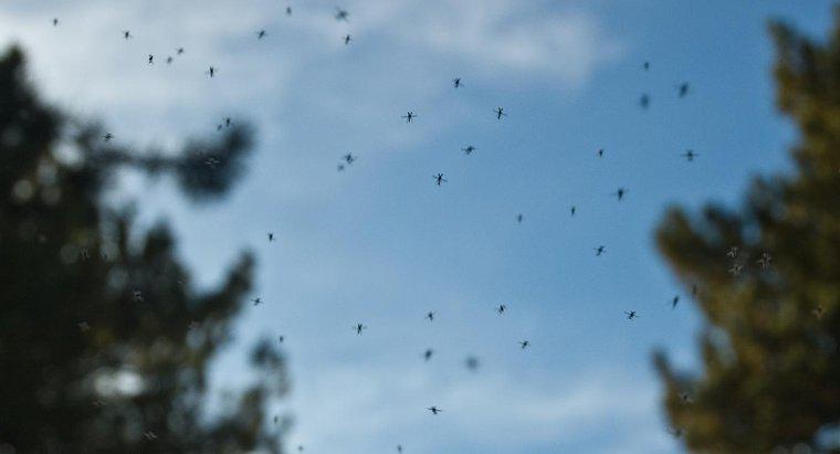 Co to jest dobry domowy środek, by zabić komary?