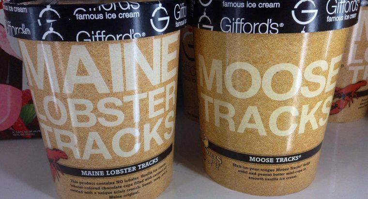 Co to jest Moose Tracks Ice Cream?