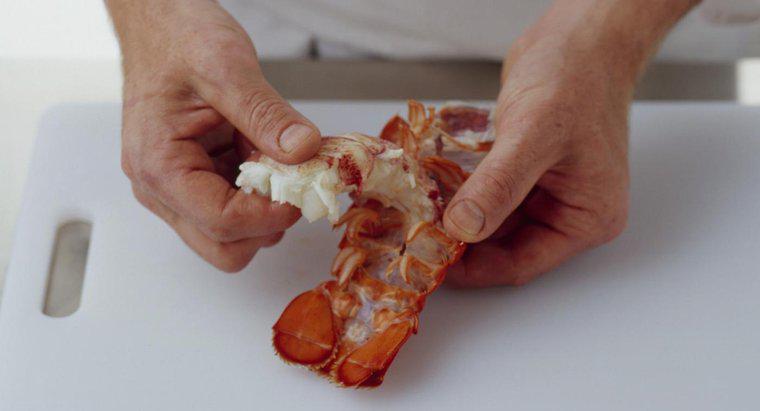 Jak gotować ogon homara?